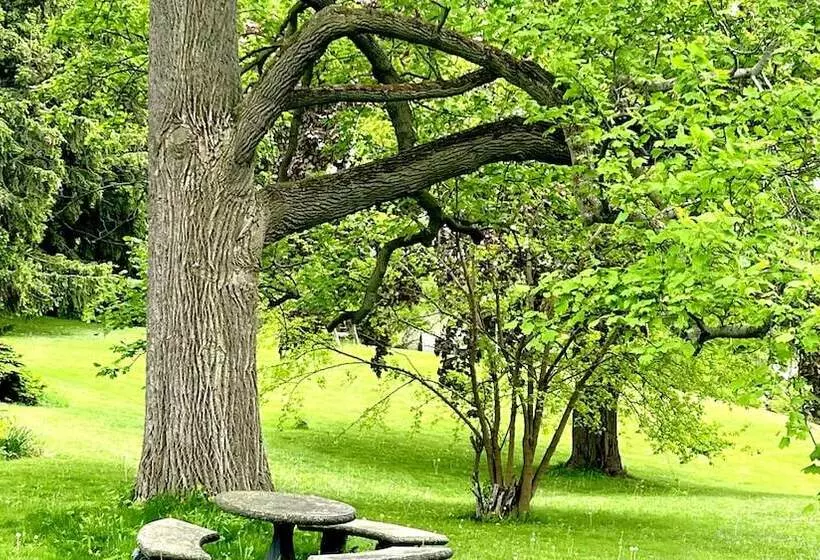 Aamiaismajoitus (B&B) Clonmel Castle