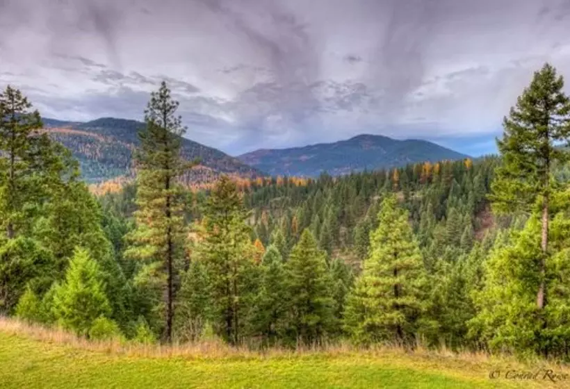 Aamiaismajoitus (B&B) The Lodge At Trout Creek