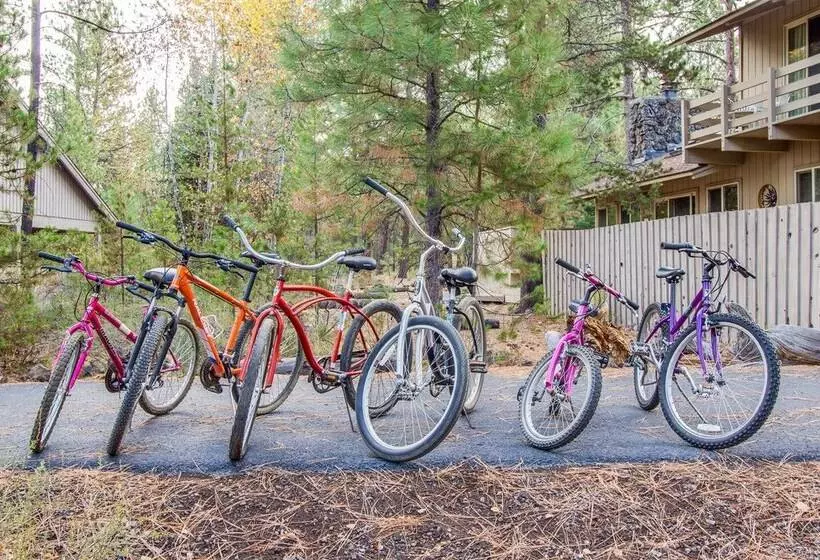 Grizzly 5