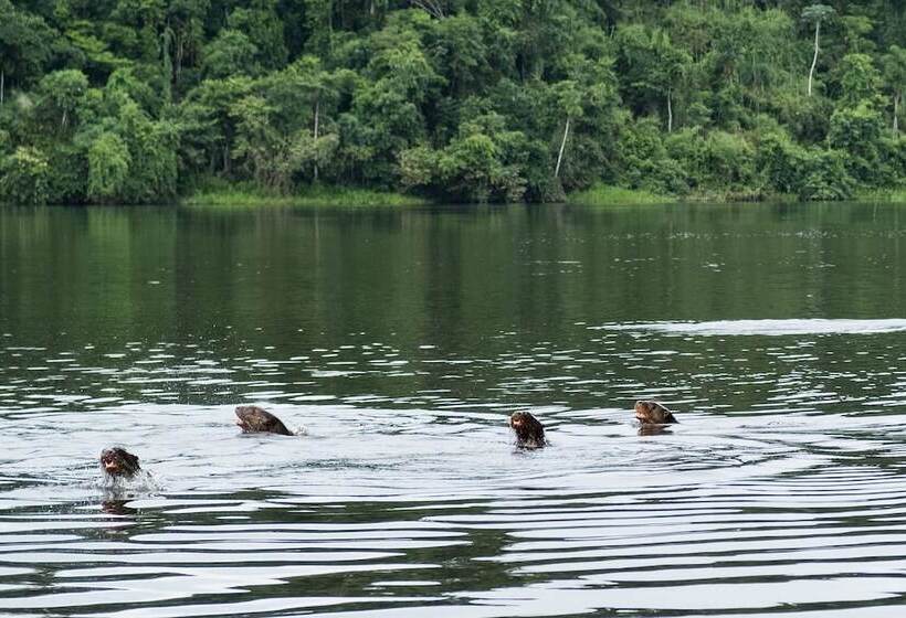 Отель ñape Lodge