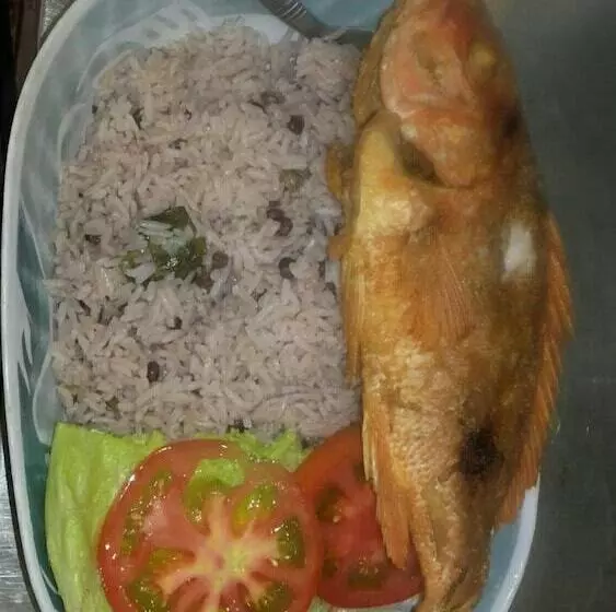 ホテル Bastimentos Caribean