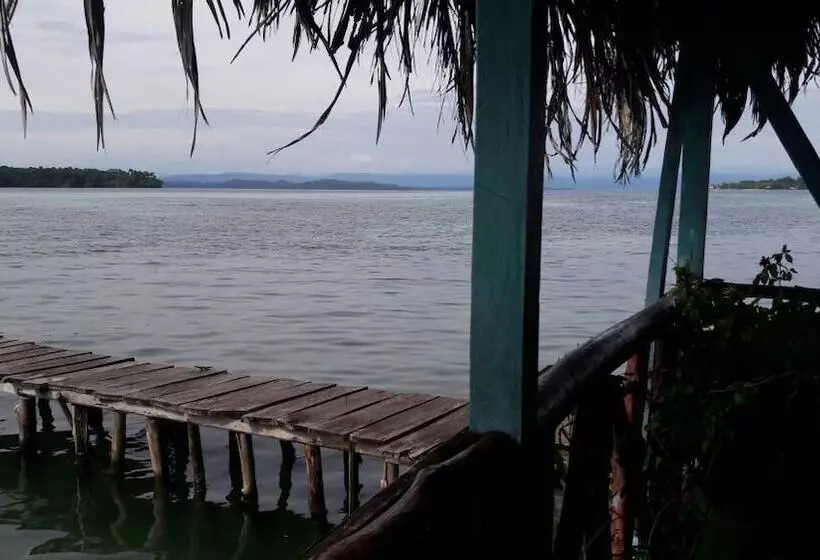 ホテル Bastimentos Caribean