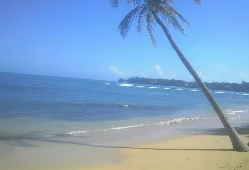 ホテル Bastimentos Caribean