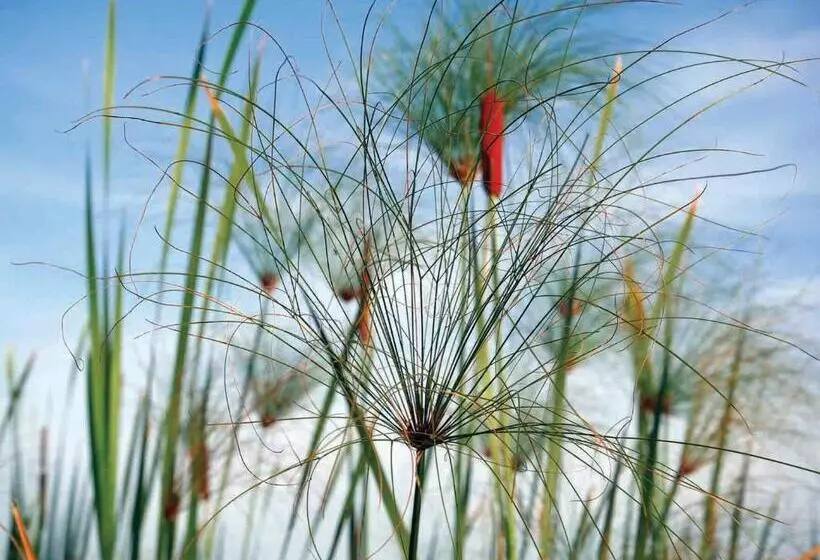 هتل Bugesera Lodge