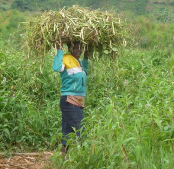 هتل Bugesera Lodge