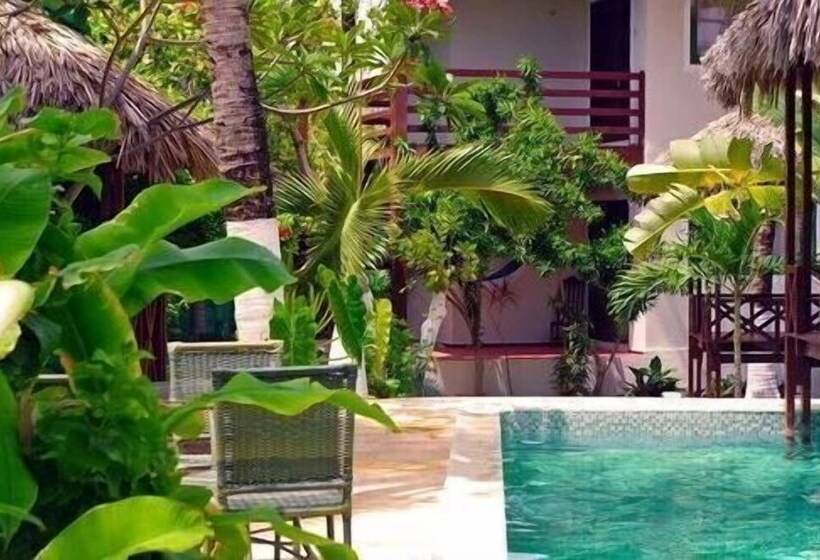 호텔 Chales Bouganville