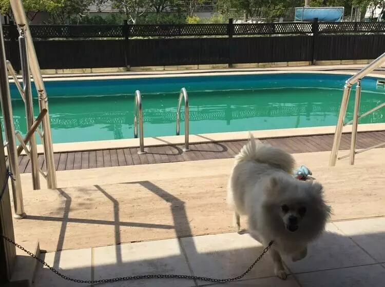 Hotelli Dardanos Pension