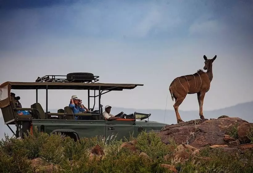 هتل Elewana Loisaba Star Beds