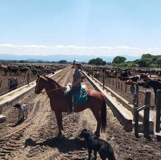 Hotelli Finca Las Margaritas