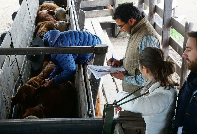 Hotel Finca Las Margaritas