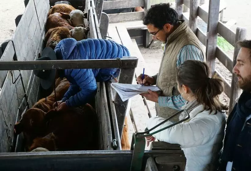 Hotelli Finca Las Margaritas