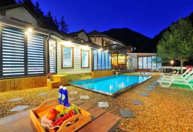 ホテル Gapyeong Pool Villa Palace