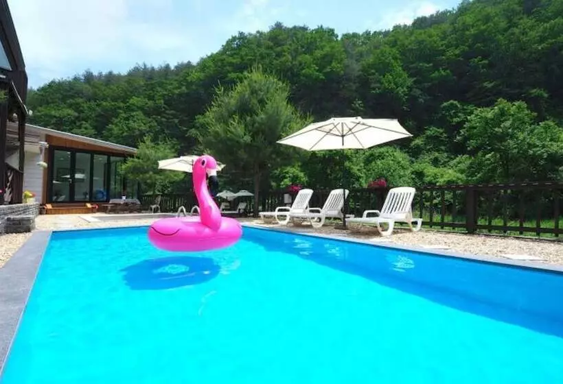 ホテル Gapyeong Pool Villa Palace