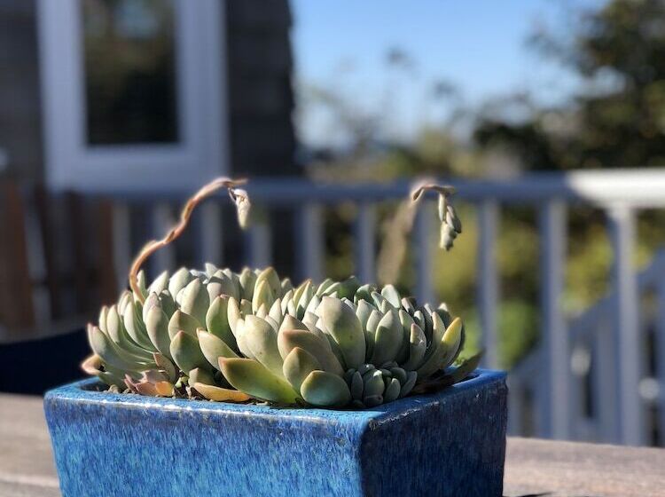 Отель Inn At Arch Cape