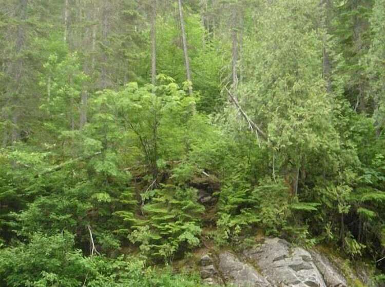 هتل Les 3 Rivieres Pabos