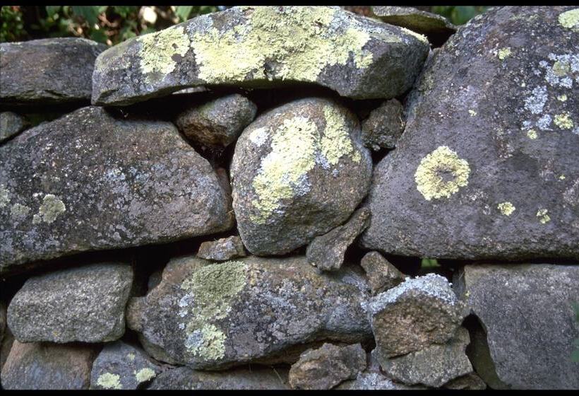 Отель Menemsha Inn & Cottages