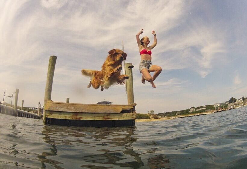 Отель Menemsha Inn & Cottages