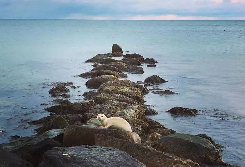 ホテル Menemsha Inn & Cottages