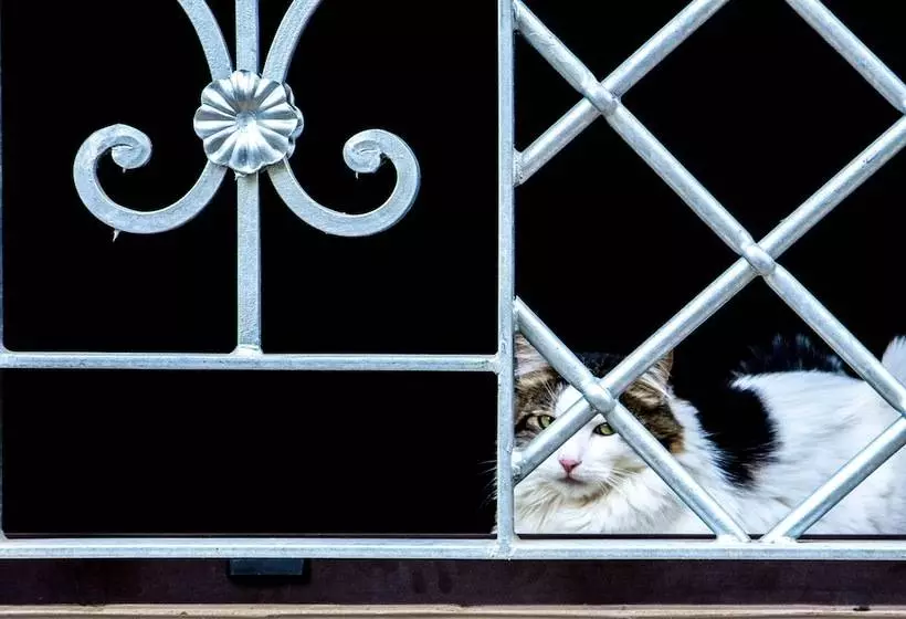 Maaseutuhotelli Le Colline Del Gelso