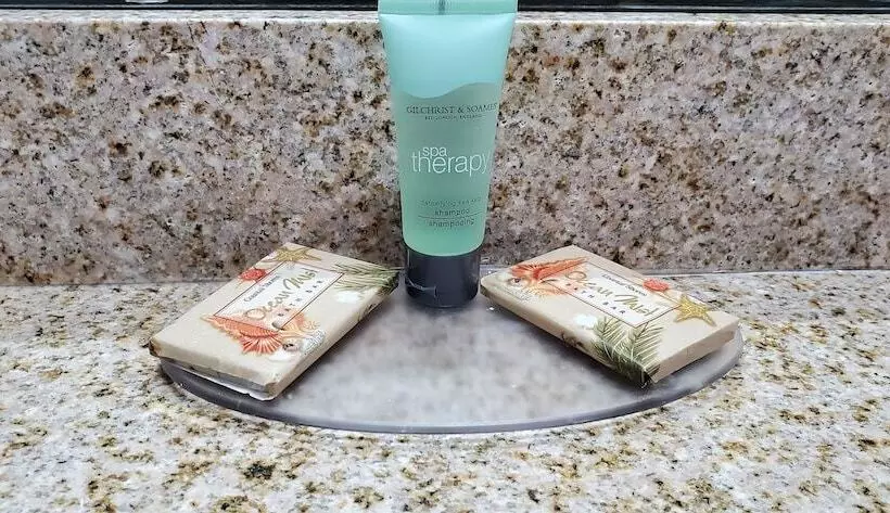 Motelli Palmetto Inn