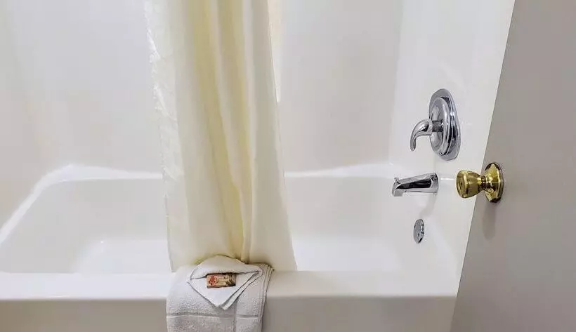 Motelli Palmetto Inn