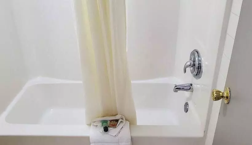 Motelli Palmetto Inn