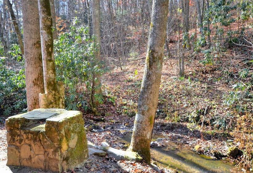 Panther Creek Cabins