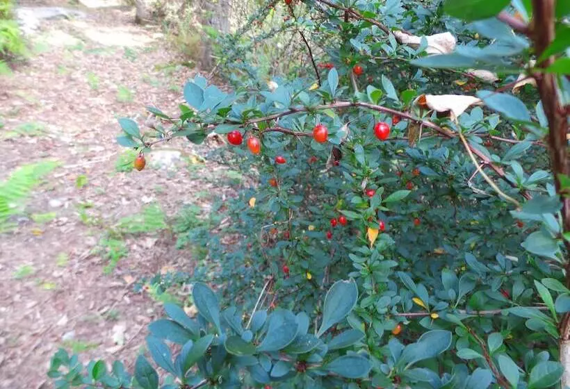 Majatalo Kenoza Lake View Manor