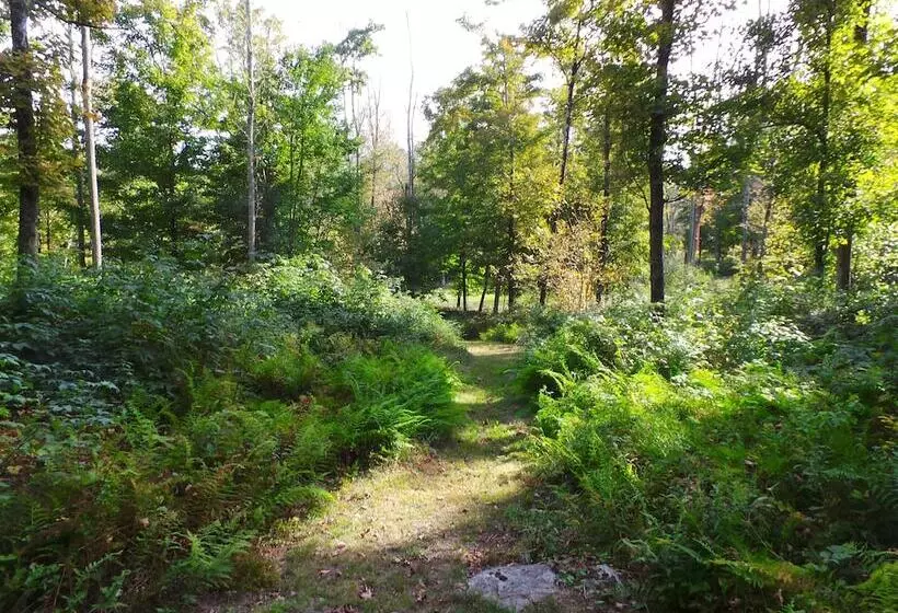 Majatalo Kenoza Lake View Manor