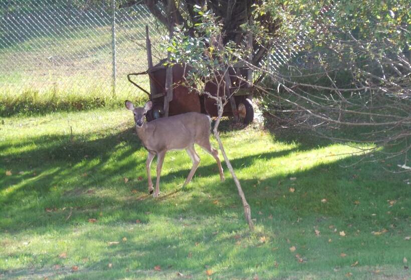 פנסיון Kenoza Lake View Manor