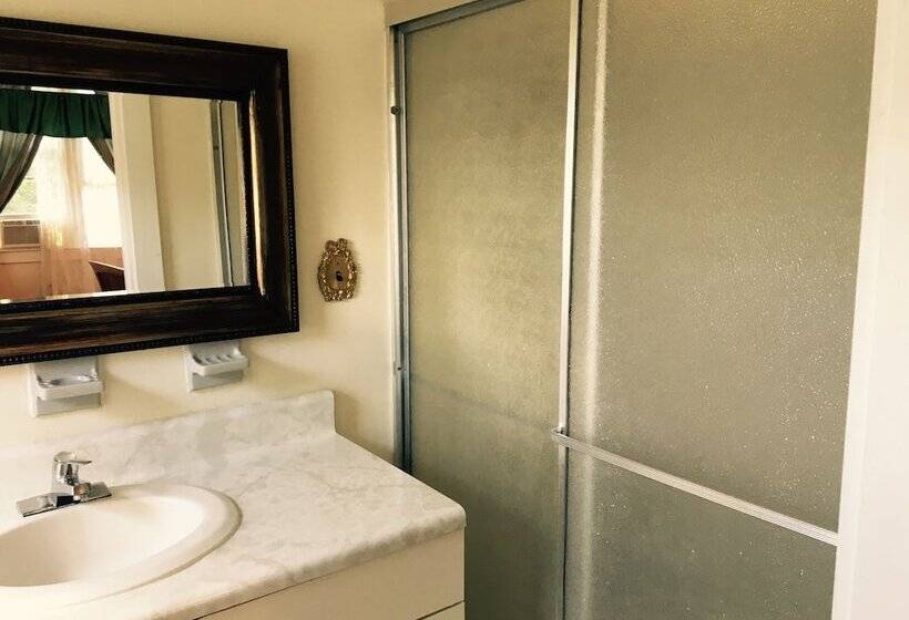 פנסיון Kenoza Lake View Manor