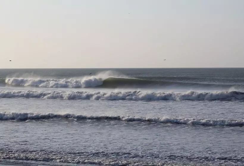 Surfcamp Guanico   Hostel