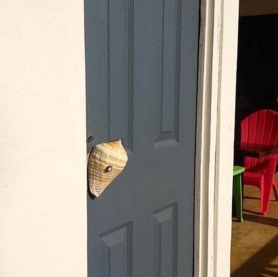 Surfcamp Guanico   Hostel