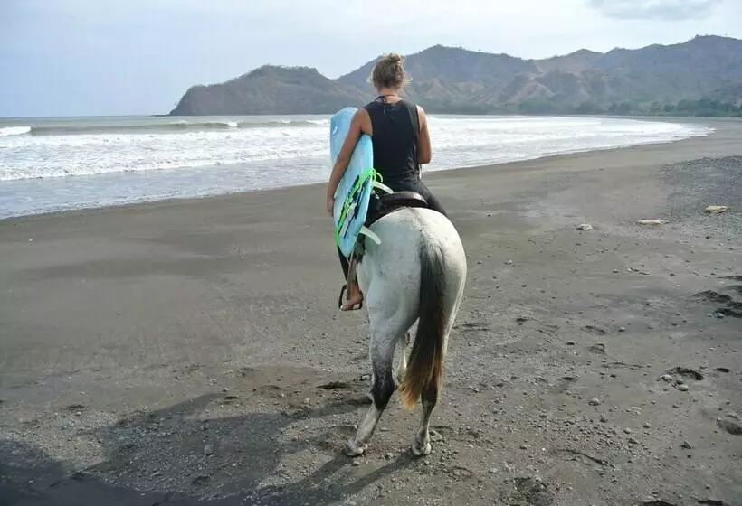 Surfcamp Guanico   Hostel