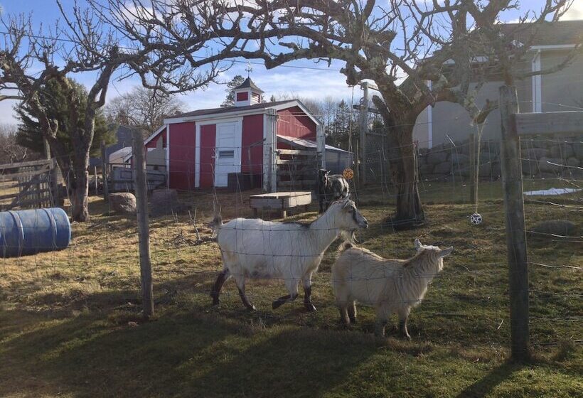 Upper Clements Cottages & Rv Park