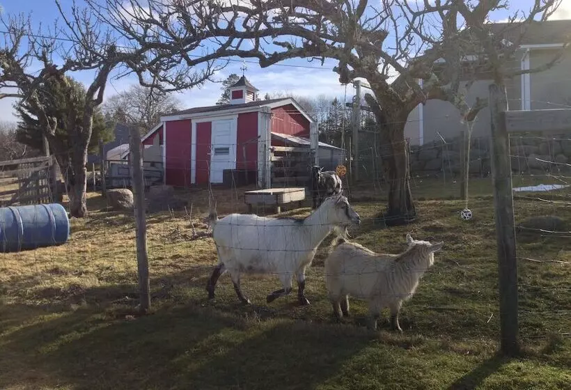 Upper Clements Cottages & Rv Park