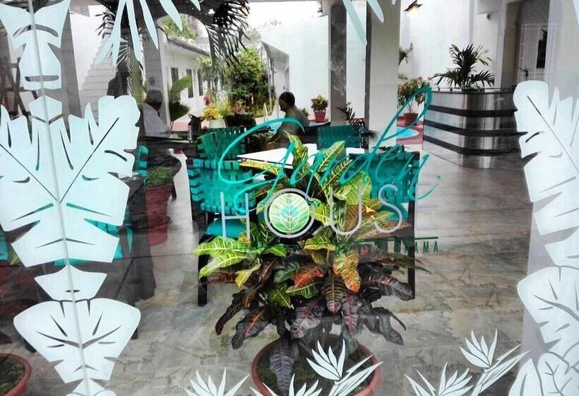 هاستل Jungle House By Explorama