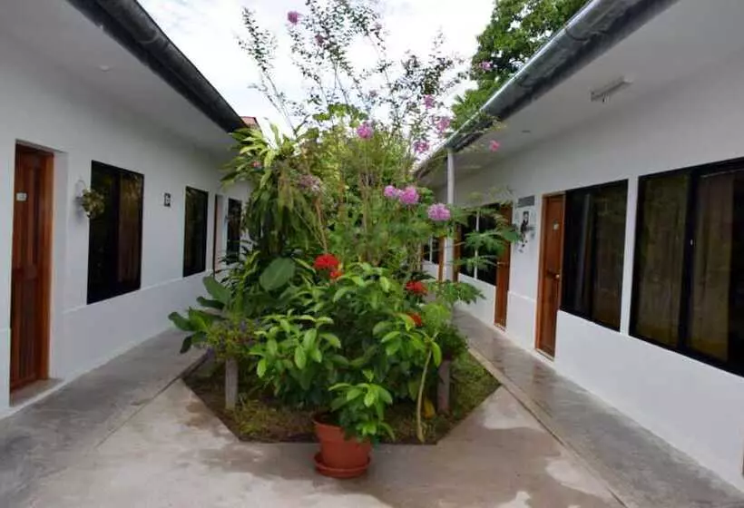 هاستل Jungle House By Explorama