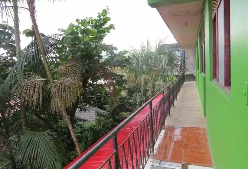 Bambú   Hostel