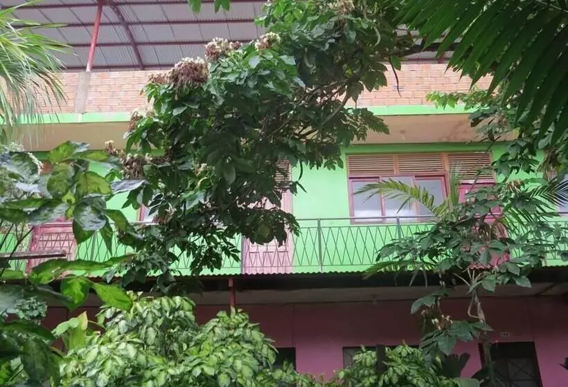 Bambú   Hostel