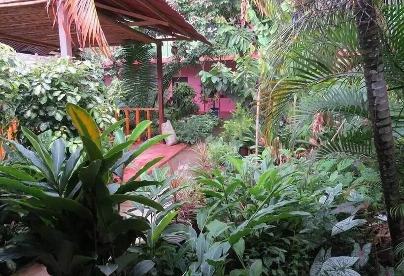Bambú   Hostel