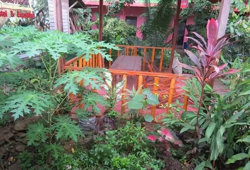 Bambú   Hostel