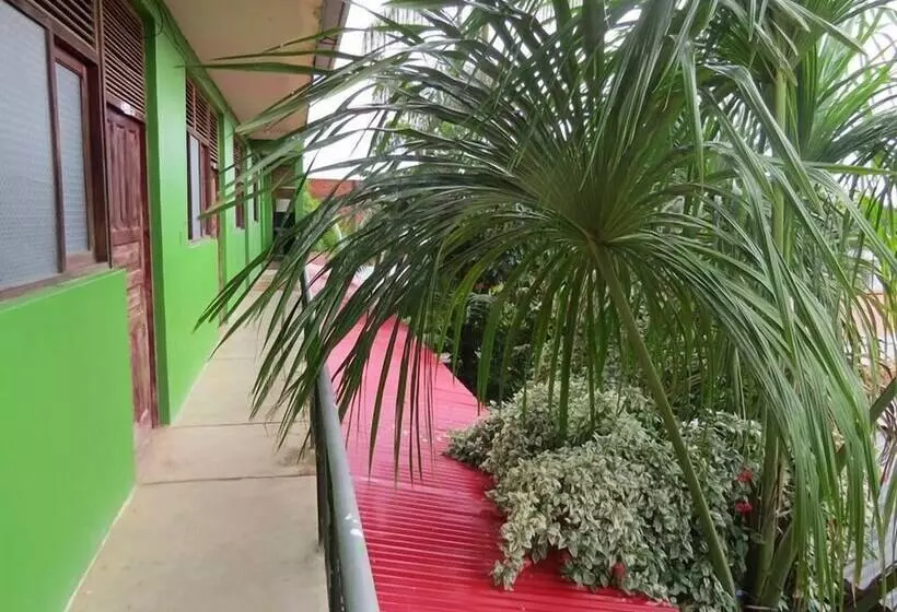 Bambú   Hostel