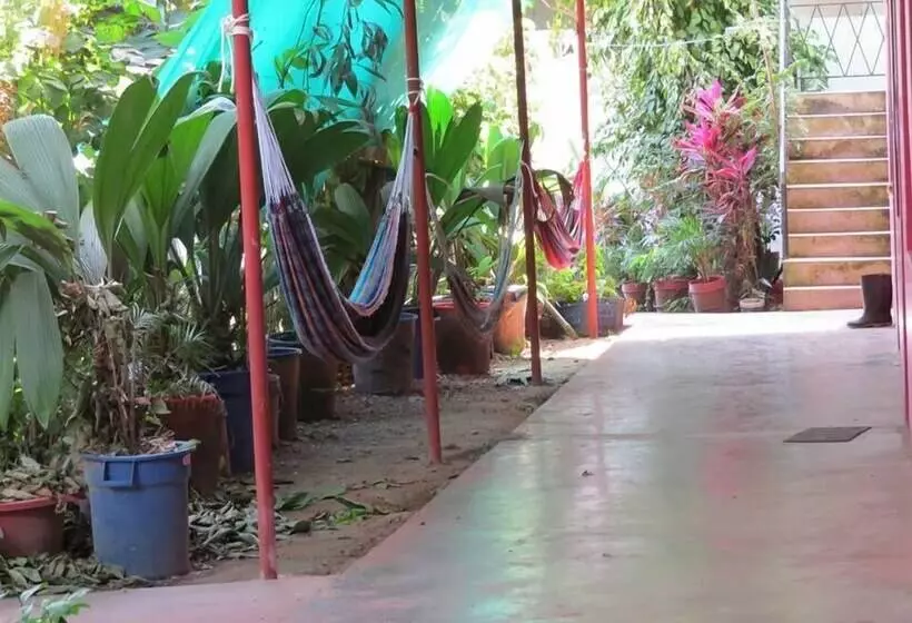 Bambú   Hostel