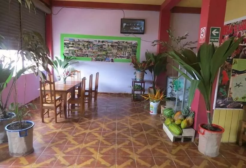 Bambú   Hostel
