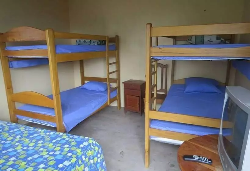 Bambú   Hostel