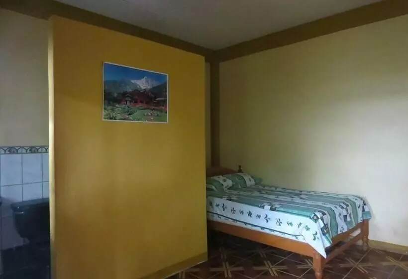 Bambú   Hostel