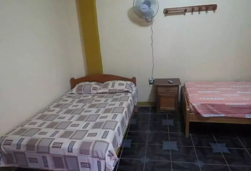 Bambú   Hostel