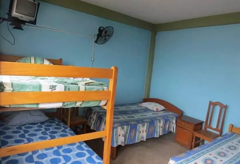 Bambú   Hostel