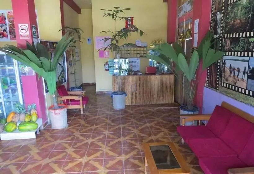 Bambú   Hostel